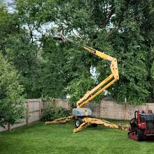 Best Weed Control  in Hillview, KY